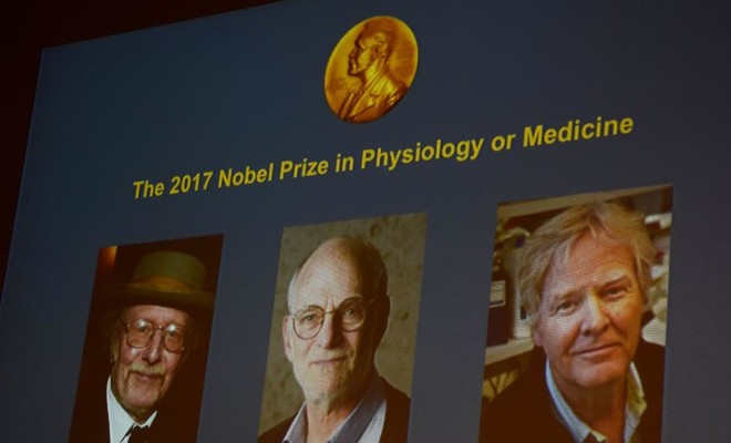 Image result for nobel prize biology 2017