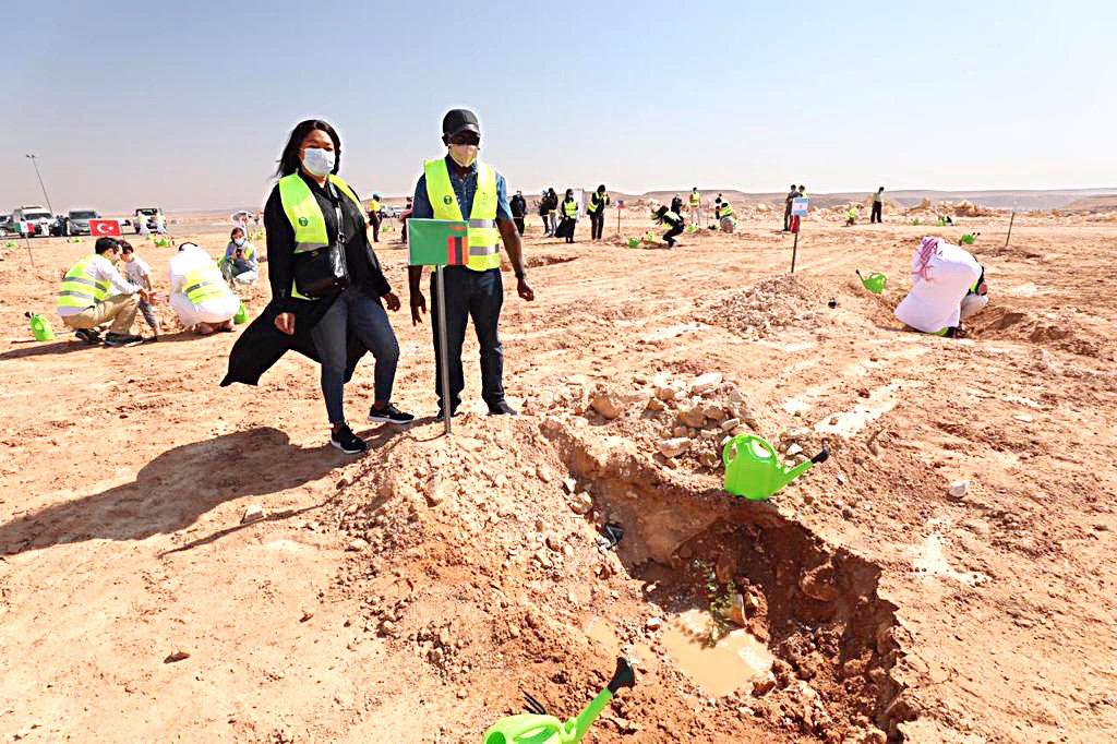 The campaign focused on planting native tree species which have adapted to Saudi Arabia’s environment and require limited irrigation. (Supplied)