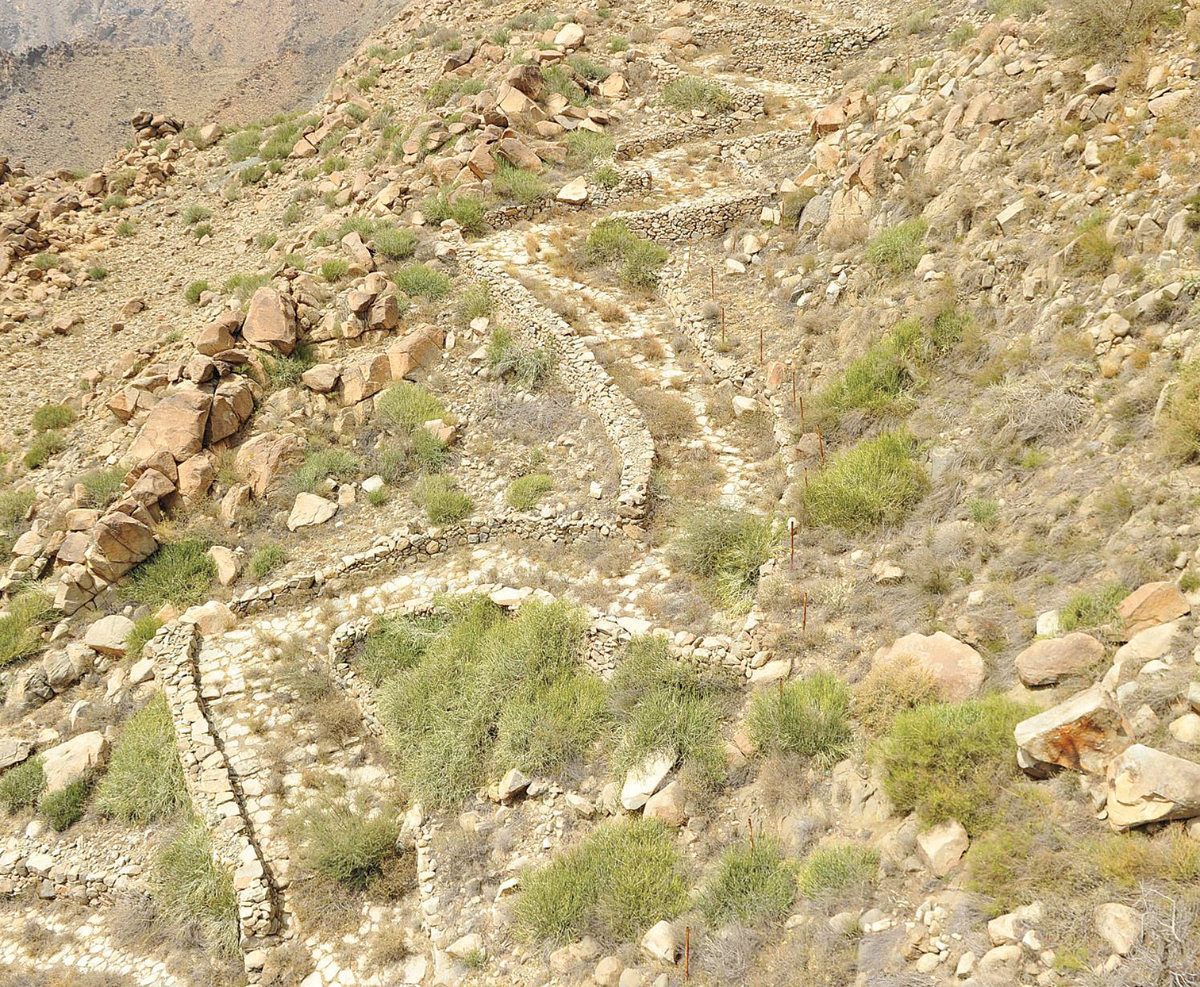 The ancient road was used regularly by pedestrians up to the 1960s. (SPA)