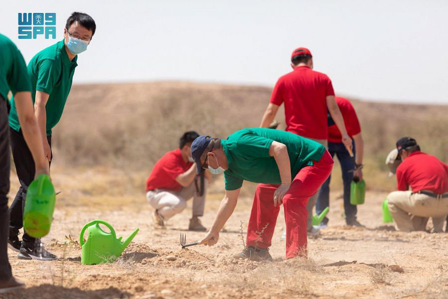 Chinese Ambassador Chen Weiqing participates in tree planting activities at Huraymila National Park in Saudi Arabia. (SPA)