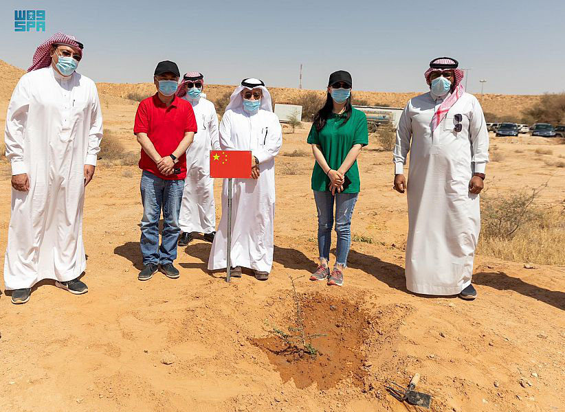 Chinese Ambassador Chen Weiqing participates in tree planting activities at Huraymila National Park in Saudi Arabia. (SPA)