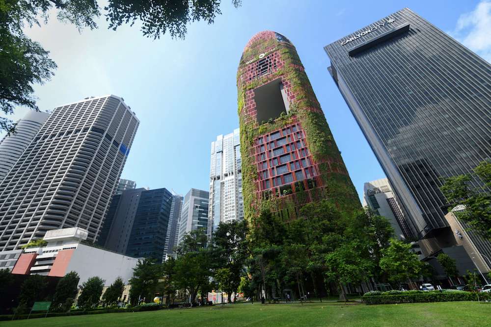 Green spaces have also been shown to improve health and wellbeing, including reducing stress, anxiety and depression, improving attention and focus, better physical health and managing Post Traumatic Stress Disorder. (AFP)