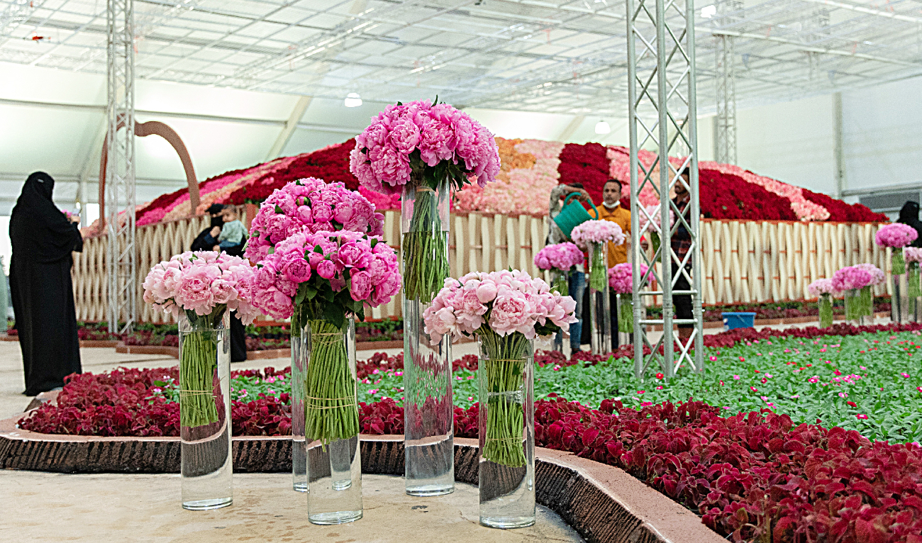 Taif Rose Festival is an intense visual and olfactory delight Arab News