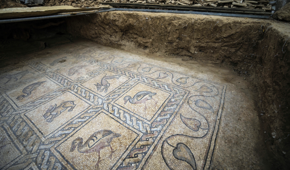 Details of parts of a Byzantine-era mosaic floor are uncovered by a Palestinian farmer in Bureij in central Gaza Strip, Sept. 5, 2022. (AFP)