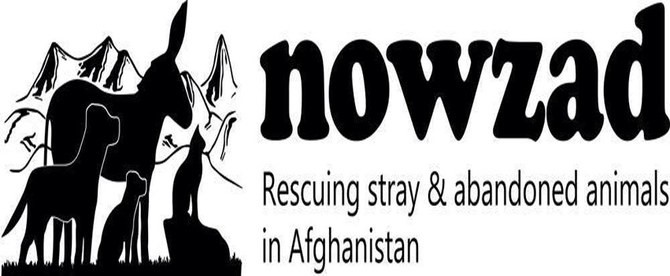 حكومة المملكة المتحدة تعترف بارتكاب مخالفات في قضية جمعية خيرية للحيوانات الأفغانية