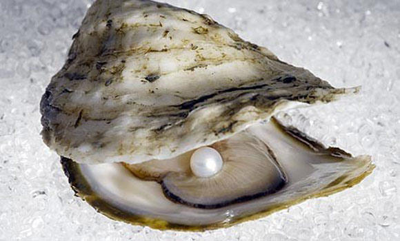 biggest oyster pearl ever found