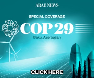 Cop 29