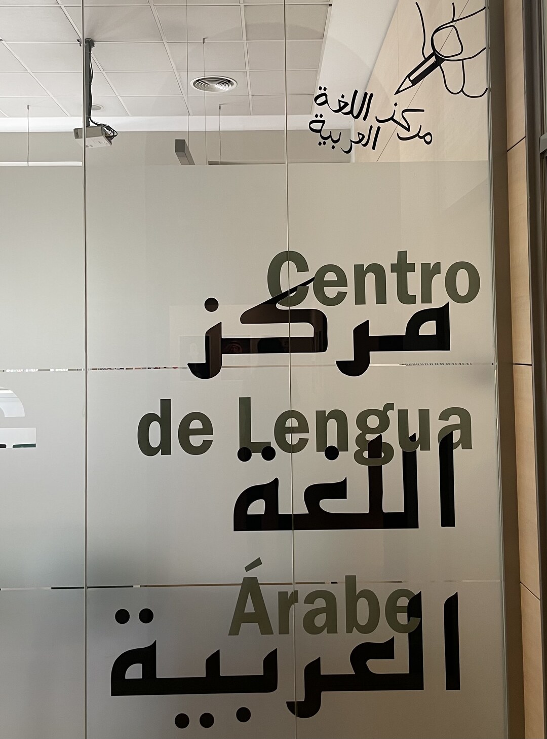 Reclaiming our narrative: Strategies for globalizing the Arabic language