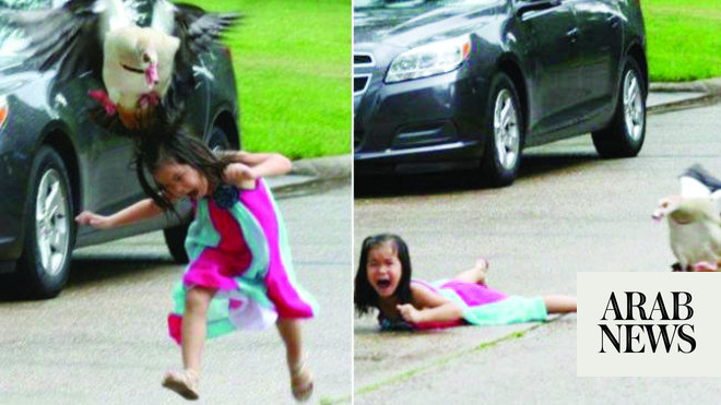 Pictures Of Angry Goose Attacking Little Girl Win Thousands Of "likes ...