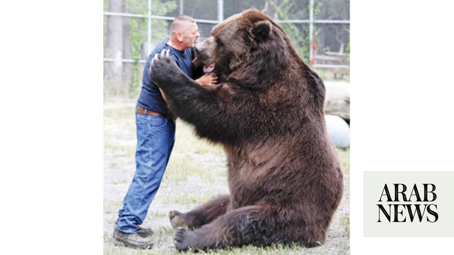 Man Grabs Attention For Hugging Big Bears | Arab News