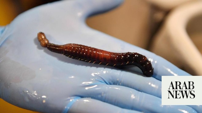 Lugworm Blood, Coming Soon to a Pharmacy Near You