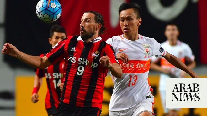 AFC Champions League - FC서울 (FC Seoul)'s Adriano + Dejan Damjanovic - 17  goals in in the #ACL2016 - Deadliest strike force in the tournament 