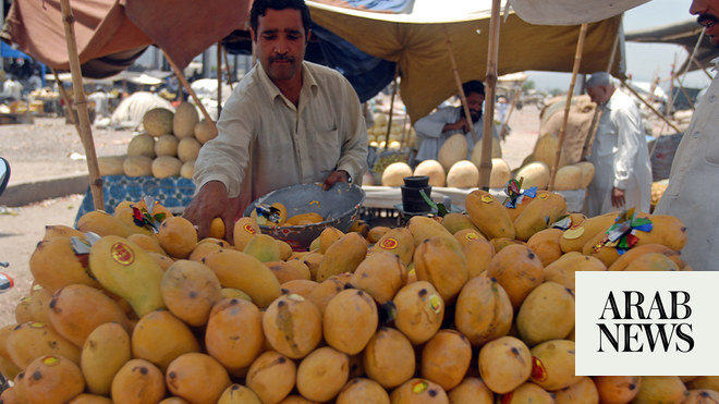 Pakistan S Mango Exports Down 15 As Coronavirus Shrinks Demand Arab News   2151916 24137961 