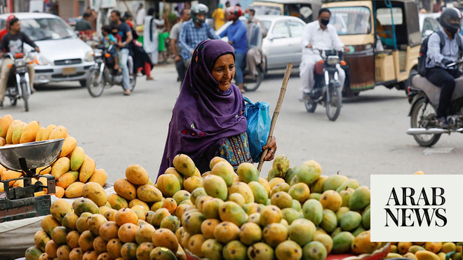 Pakistani Mango Export To Arab Countries At 41 As Export Target   2237236 777039055 