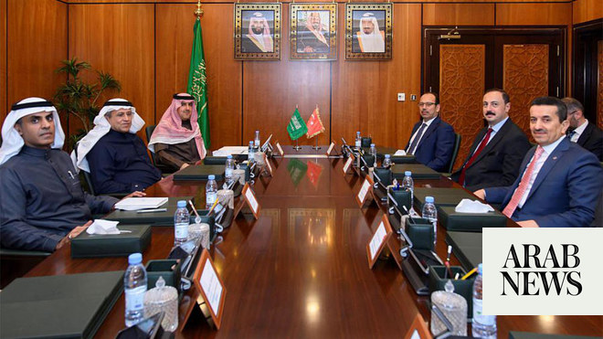 Saudi Arabia, Turkiye discuss financial audit cooperation