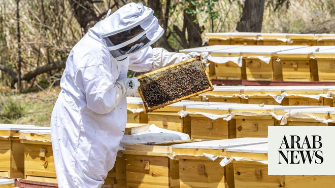 Apply Now For a Chance to Sample Our Natural, Hive-Powered Products!