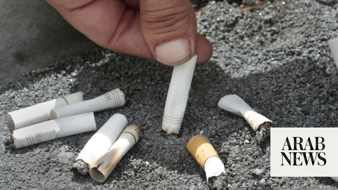 Increase in cigarette prices in Egypt pushes smokers to find