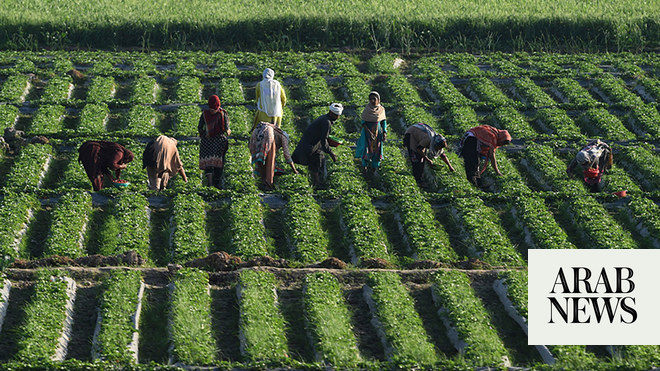 Pakistan Seeks 6bn For Corporate Farming From Saudi Arabia Other Gulf   4014781 1458550745 