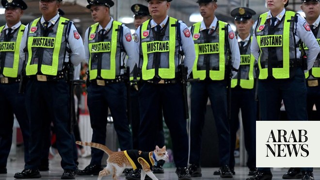 Paw patrol Philippine security guards adopt stray cats Arab News