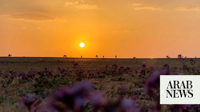 Saudi Arabia highlights importance of COP16, seeks steps to combat desertification and drought