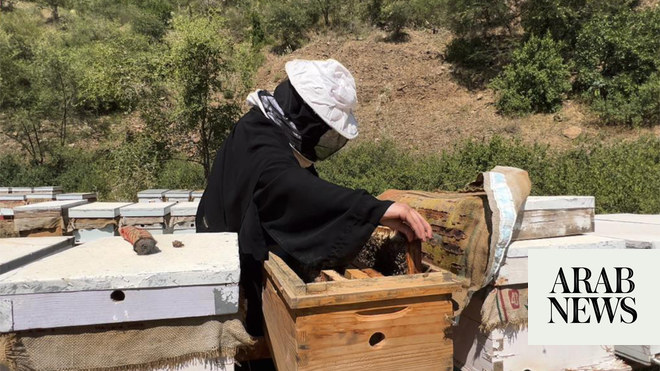 Saudi honeybee program achieves 200% productivity boost