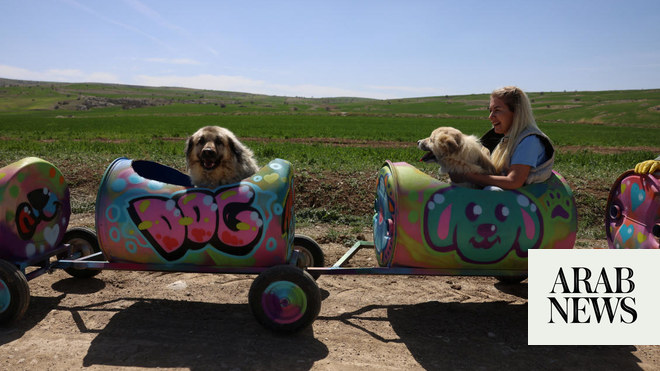 Turkiye’s woof express takes disabled dogs on a daily ride