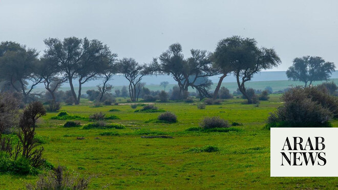 Saudi Arabia to showcase sustainable hunting at Qatar expo