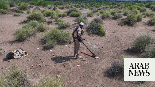 Saudi project clears 636 Houthi mines in Yemen