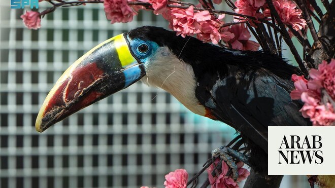 From crocodiles to kangaroos — Riyadh Zoo thrills visitors