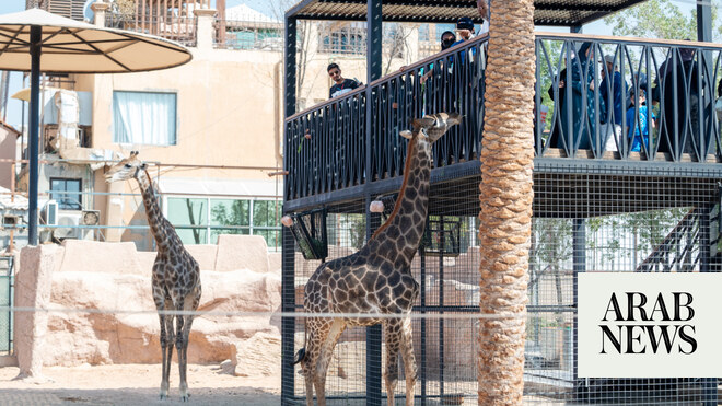 Riyadh Zoo returns with new interactive experiences as part of Riyadh Season