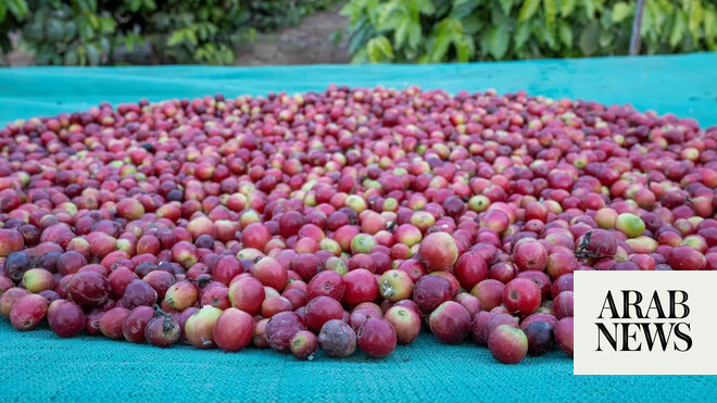 Saudi farmers sow seeds of sustainability in Najran’s fertile soil