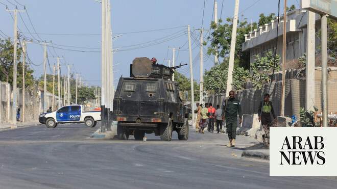 US Airstrike Kills Two Al-Shabab Fighters