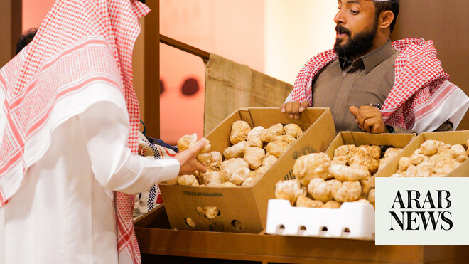 مهرجان الكمأة في القصيم يعرض أطايب الصحراء ويعزز اقتصاد المنطقة