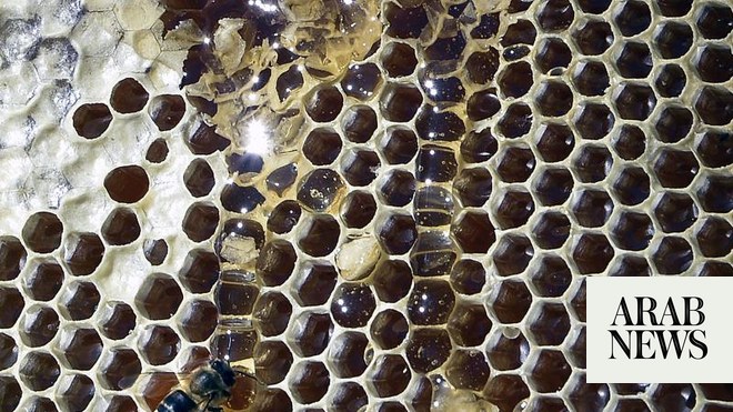 Secrets of bee honeycombs revealed - News - Cardiff University