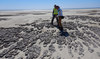 ‘Living rocks’ off Saudi Arabia’s Sheybarah Island offer glimpse of how life on Earth began