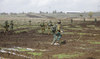 Israeli military says it strikes Syrian army targets on Golan Heights