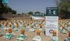 KSrelief distributes 1,200 food baskets in Chad