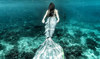 Mermaids make waves in the Red Sea