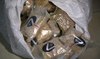 Jordan cracks down on drug smuggling rings, seizes 600,000 narcotic pills 