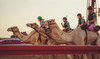 Trailblazing female camel jockeys from Dubai to race in France