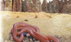 How a newly classified species of snake was discovered in Saudi Arabia’s ancient AlUla oasis