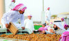 Saudi Arabia seeks to boost efficiency of seasonal date markets