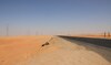 Egypt uncovers major oil deposit in Western Desert, signaling boost in energy production