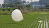 South Korea says North Korea has again launched suspected trash-carrying balloons across the border