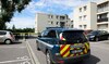 French man fatally stabs partner, two young children