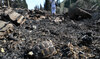 Charred cars, burning trees after deadly Israeli strikes on Syria