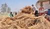 Egypt looks to secure bank financing to strengthen food security