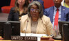 US calls for Africa to get two permanent UN Security Council seats