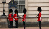 Animal rights groups object to Buckingham Palace guard’s distinctive bearskin caps