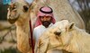 Bandar Al-Adwani, a camel owner, poses with his beloved camels. (SPA)